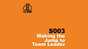 s003 - Making the Jump to Team Leader